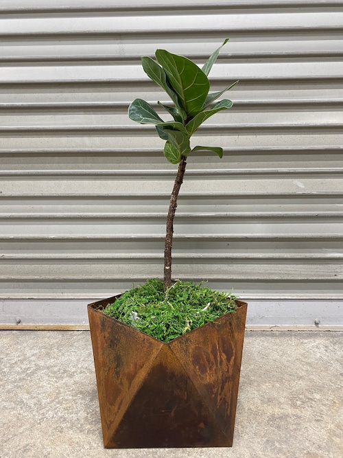 uekibachi 創作板金屋オーダーメイド植木鉢